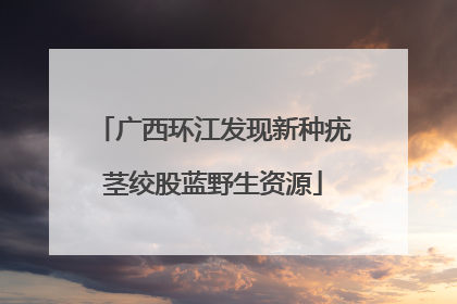 广西环江发现新种疣茎绞股蓝野生资源